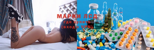 ПСИЛОЦИБИНОВЫЕ ГРИБЫ Вязьма