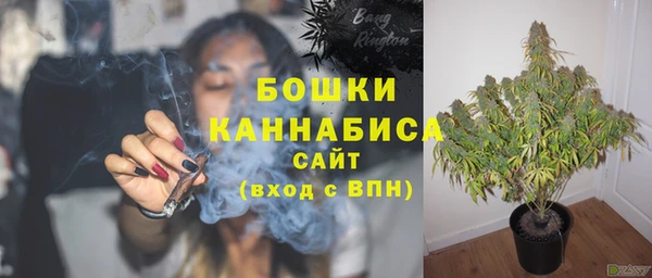 ПСИЛОЦИБИНОВЫЕ ГРИБЫ Вязьма