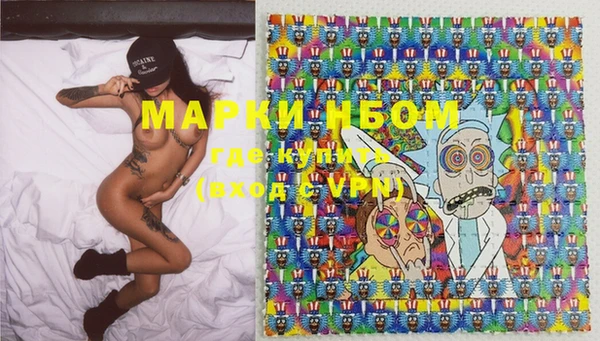 ПСИЛОЦИБИНОВЫЕ ГРИБЫ Вязьма