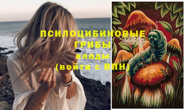 ПСИЛОЦИБИНОВЫЕ ГРИБЫ Вязьма