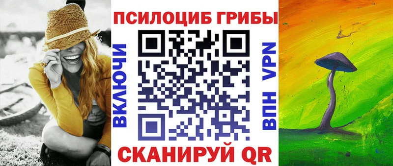 Купить где Сосновка Псилоцибиновые грибы MAGIC MUSHROOMS